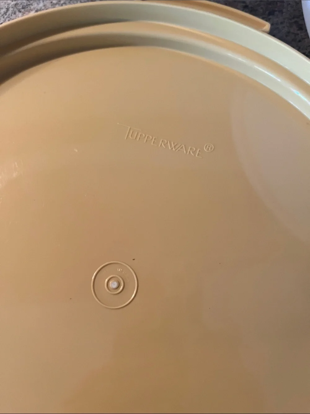 Tupperware Cake and Pie Carrier.